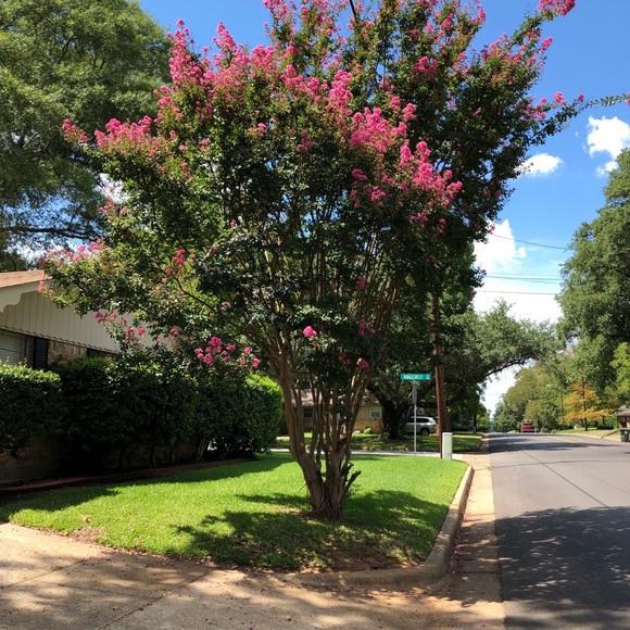 Meet your Posher, Marcus - Picture 1 of 1